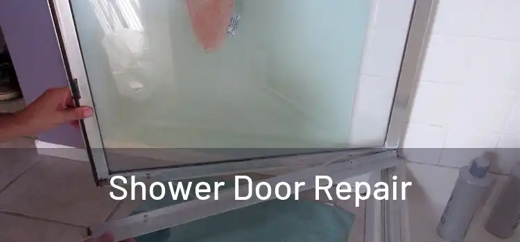 Shower Door Repair